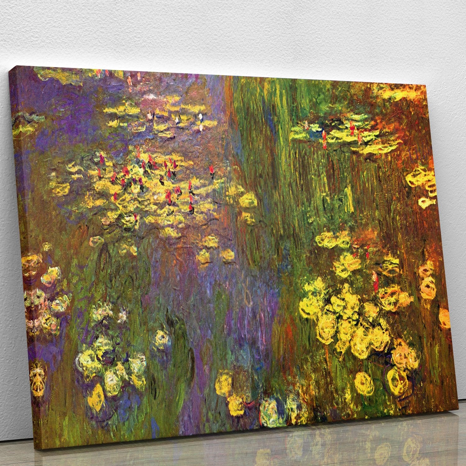 Nympheas water plantes Canvas Print or Poster