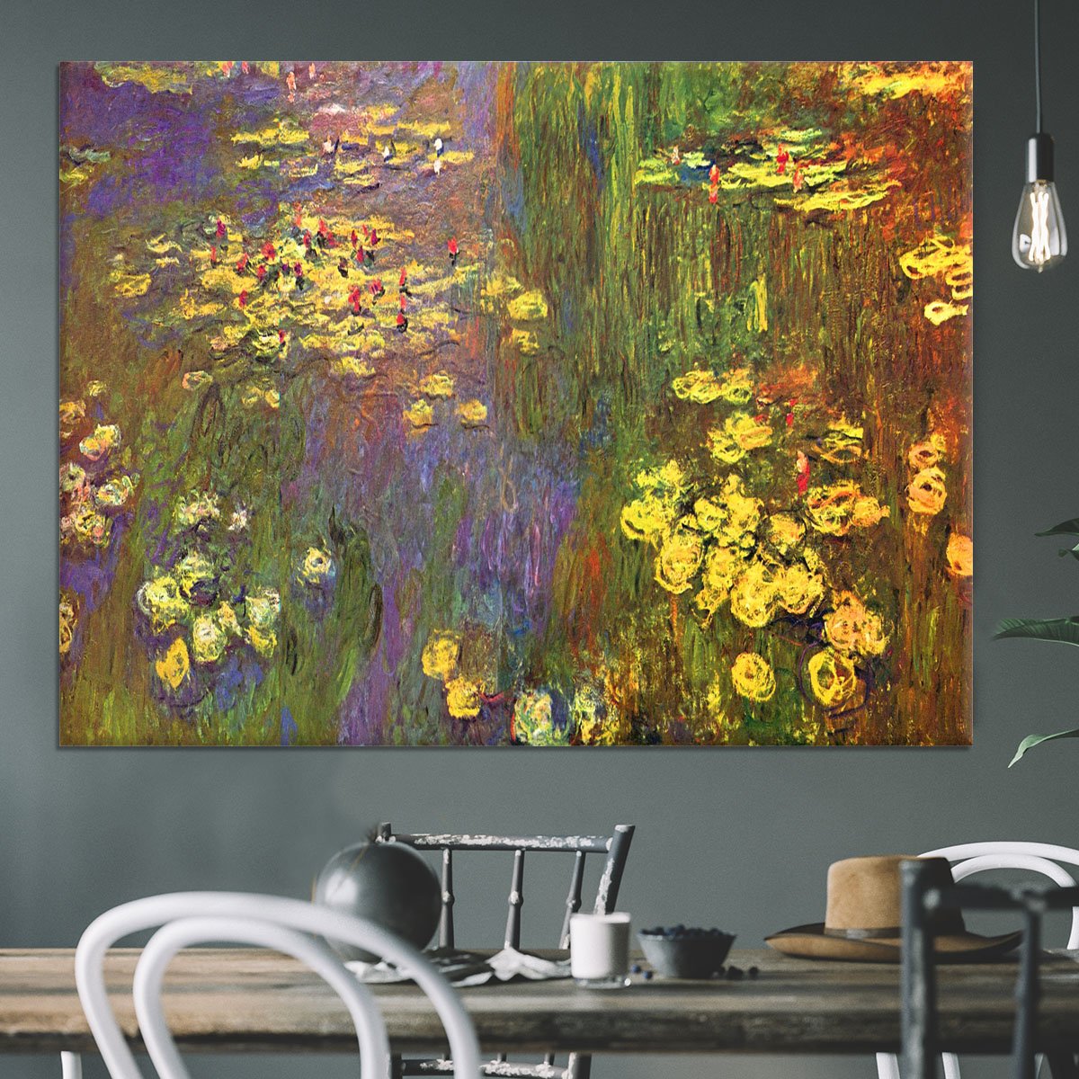 Nympheas water plantes Canvas Print or Poster