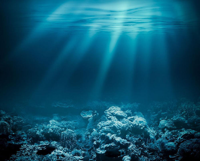 Ocean underwater with coral reef Wall Mural Wallpaper
