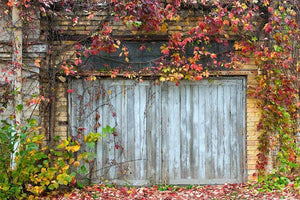 Old wooden door with a brick Wall Mural Wallpaper - Canvas Art Rocks - 1