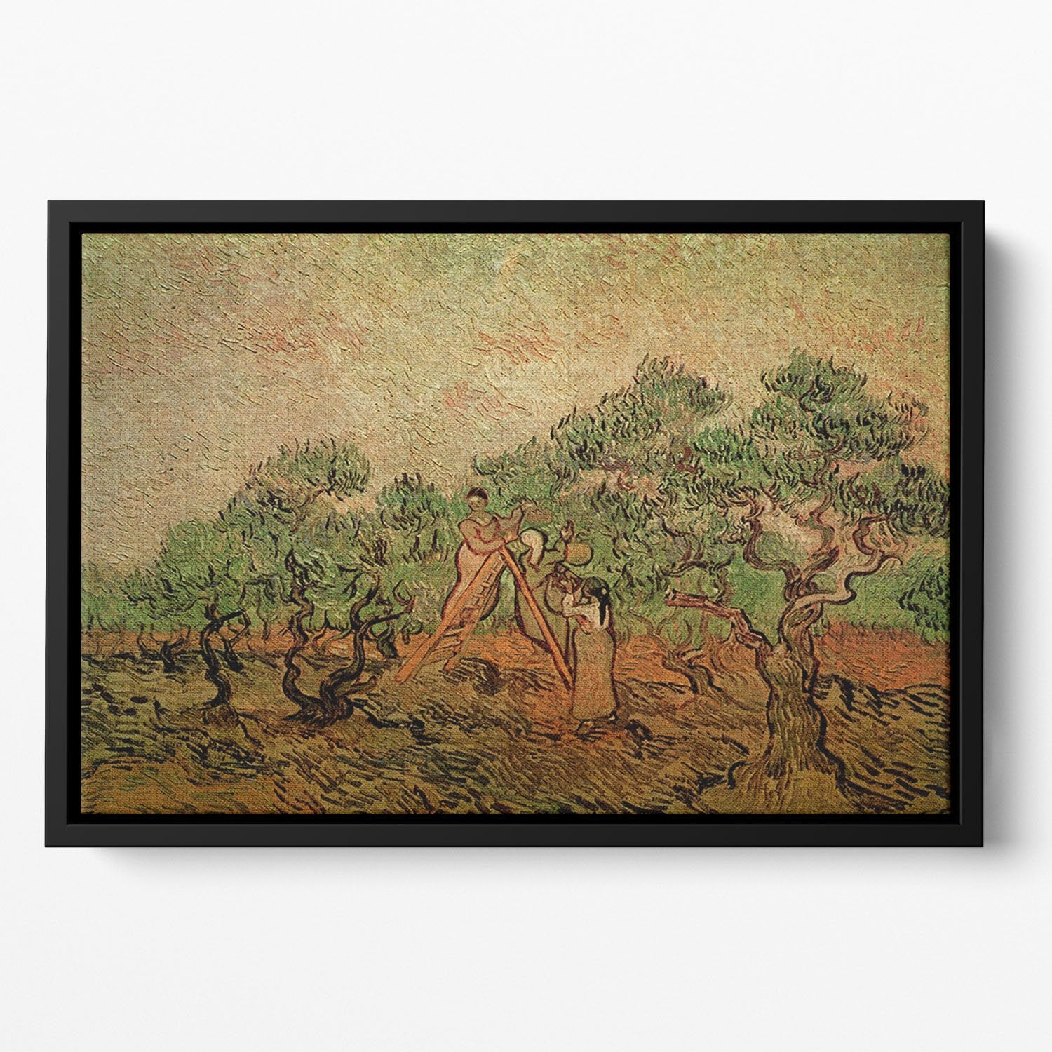 Olive Picking by Van Gogh Floating Framed Canvas