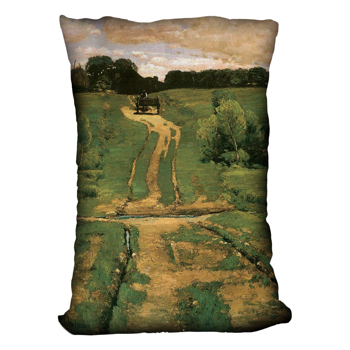 Open land by Hassam Cushion - Canvas Art Rocks - 4