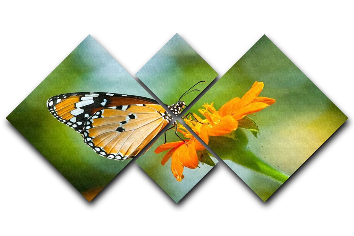 Orange butterfly on flower Thailand. 4 Square Multi Panel Canvas - Canvas Art Rocks - 1