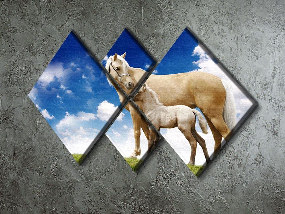 Palomino horses on grey gradient 4 Square Multi Panel Canvas - Canvas Art Rocks - 2