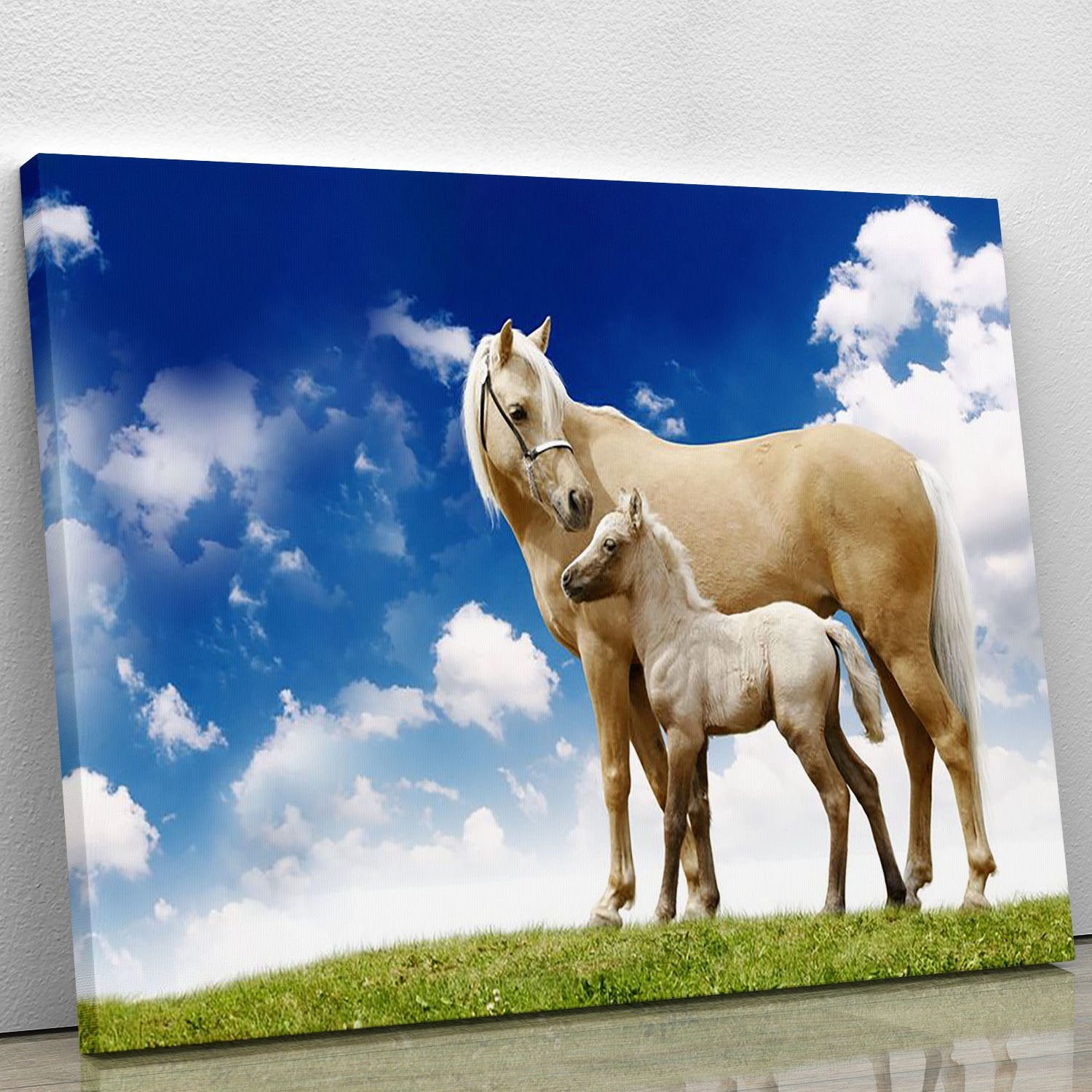 Palomino horses on grey gradient Canvas Print or Poster