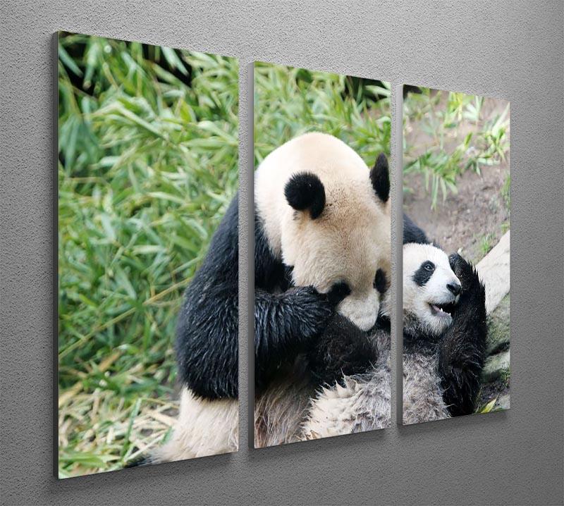 Panda bear and her cub 3 Split Panel Canvas Print - Canvas Art Rocks - 2