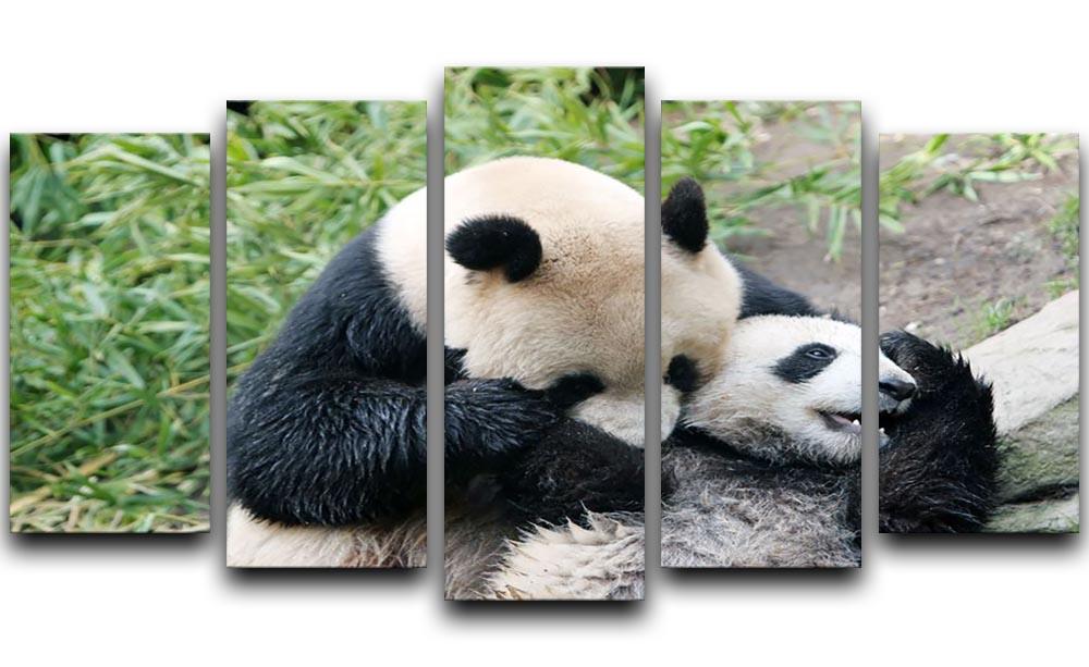 Panda bear and her cub 5 Split Panel Canvas - Canvas Art Rocks - 1