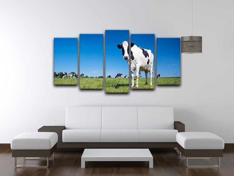 Panoramic view of black and white cow 5 Split Panel Canvas - Canvas Art Rocks - 3