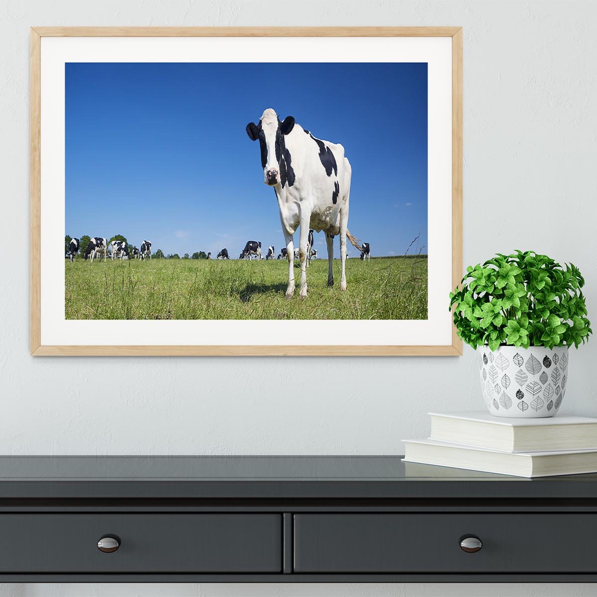 Panoramic view of black and white cow Framed Print - Canvas Art Rocks - 3