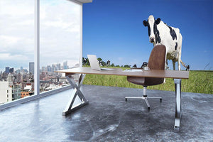 Panoramic view of black and white cow Wall Mural Wallpaper - Canvas Art Rocks - 3