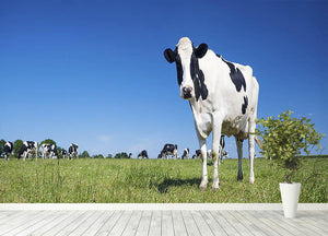Panoramic view of black and white cow Wall Mural Wallpaper - Canvas Art Rocks - 4