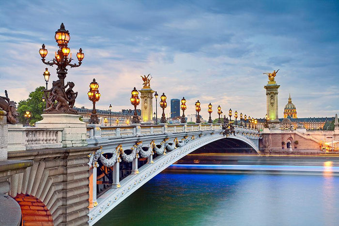 Paris image of the Alexandre III Wall Mural Wallpaper