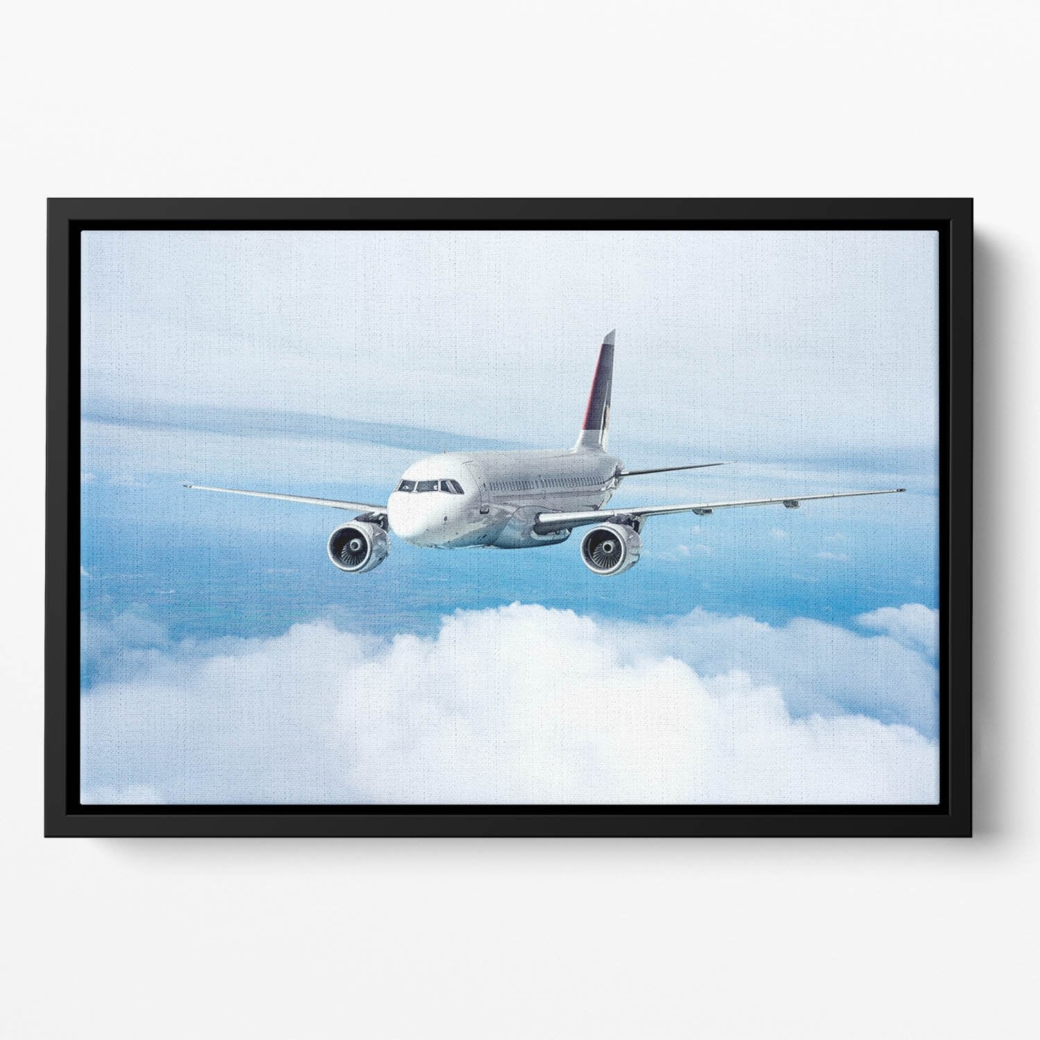 Passenger Airliner Floating Framed Canvas