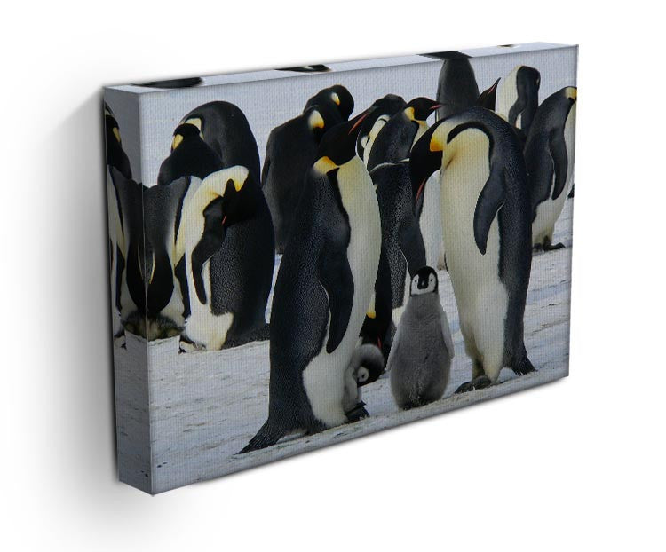 Penguins Print - Canvas Art Rocks - 3