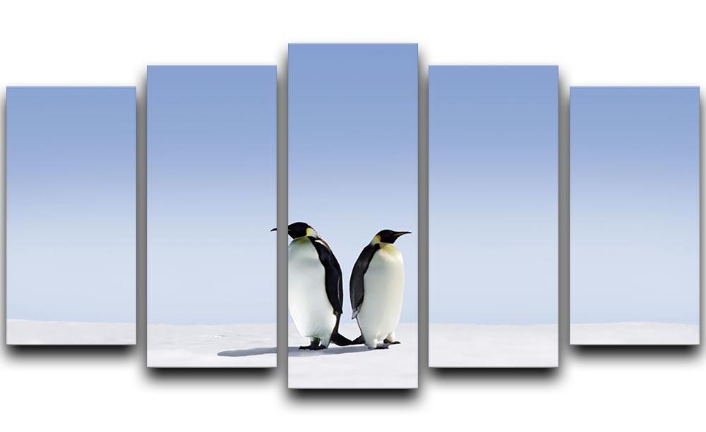 Penguins dont know where to go 5 Split Panel Canvas - Canvas Art Rocks - 1