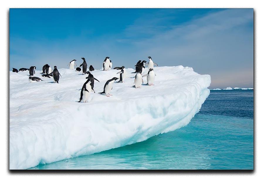 Penguins on Iceberg Canvas Print or Poster - Canvas Art Rocks - 1