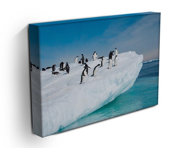 Penguins on Iceberg Canvas Print or Poster - Canvas Art Rocks - 3
