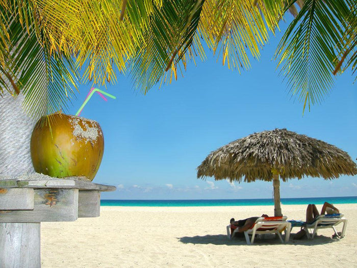 People relaxing under tropical huts with coconut Wall Mural Wallpaper