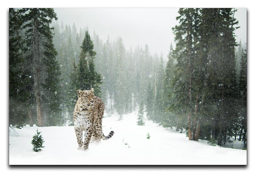 Persian Leopard Print - Canvas Art Rocks - 1