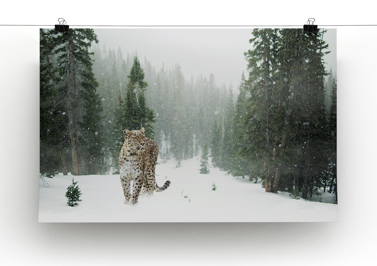 Persian Leopard Print - Canvas Art Rocks - 2