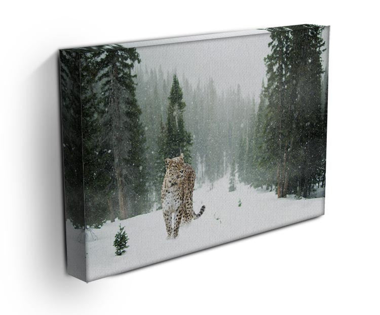 Persian Leopard Print - Canvas Art Rocks - 3