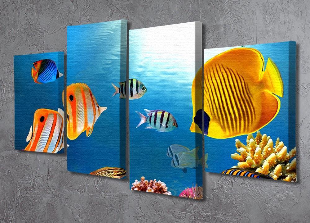 Photo of a coral colony 4 Split Panel Canvas  - Canvas Art Rocks - 2