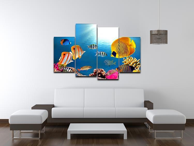 Photo of a coral colony 4 Split Panel Canvas  - Canvas Art Rocks - 3