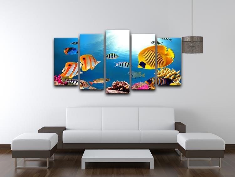 Photo of a coral colony 5 Split Panel Canvas  - Canvas Art Rocks - 3