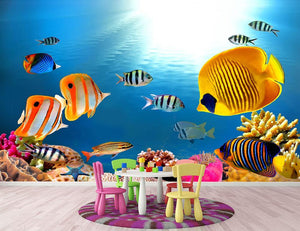 Photo of a coral colony Wall Mural Wallpaper - Canvas Art Rocks - 2