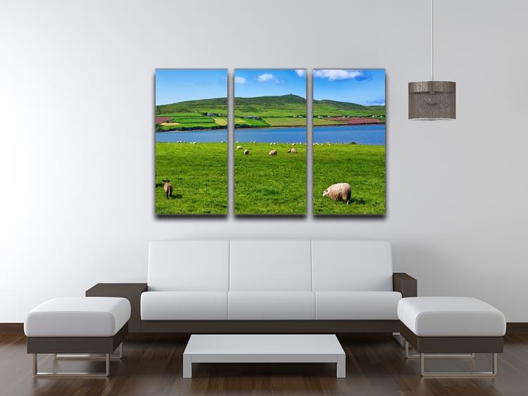 Photo sheep in rural landscape for farming 3 Split Panel Canvas Print - Canvas Art Rocks - 3