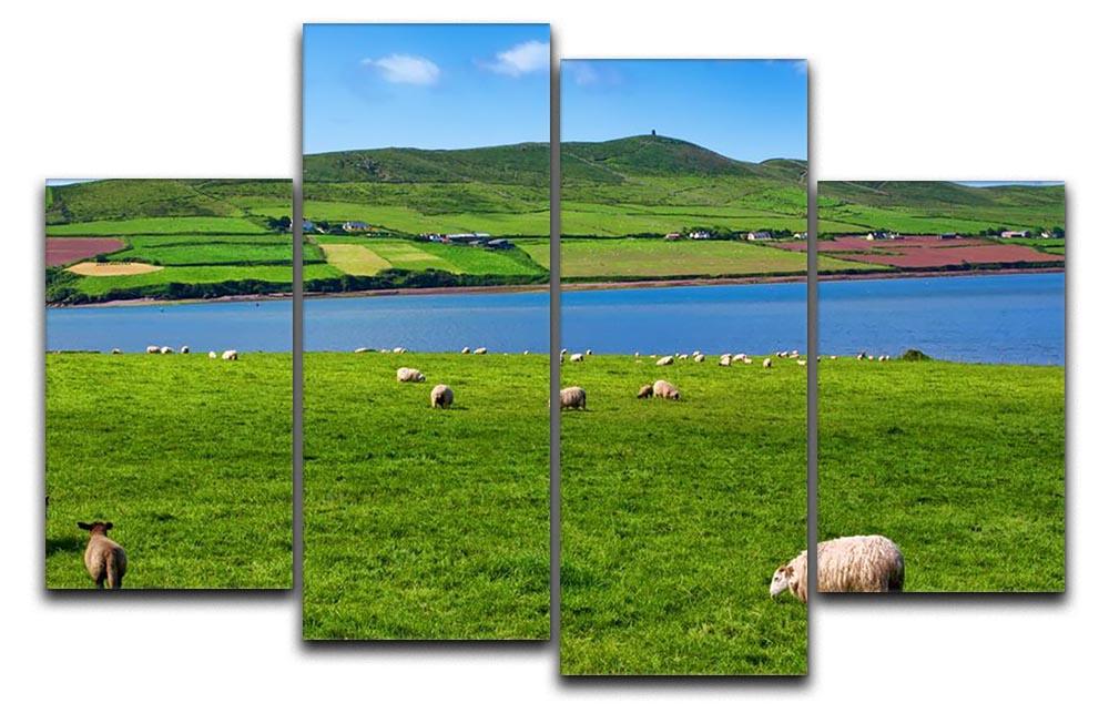 Photo sheep in rural landscape for farming 4 Split Panel Canvas - Canvas Art Rocks - 1