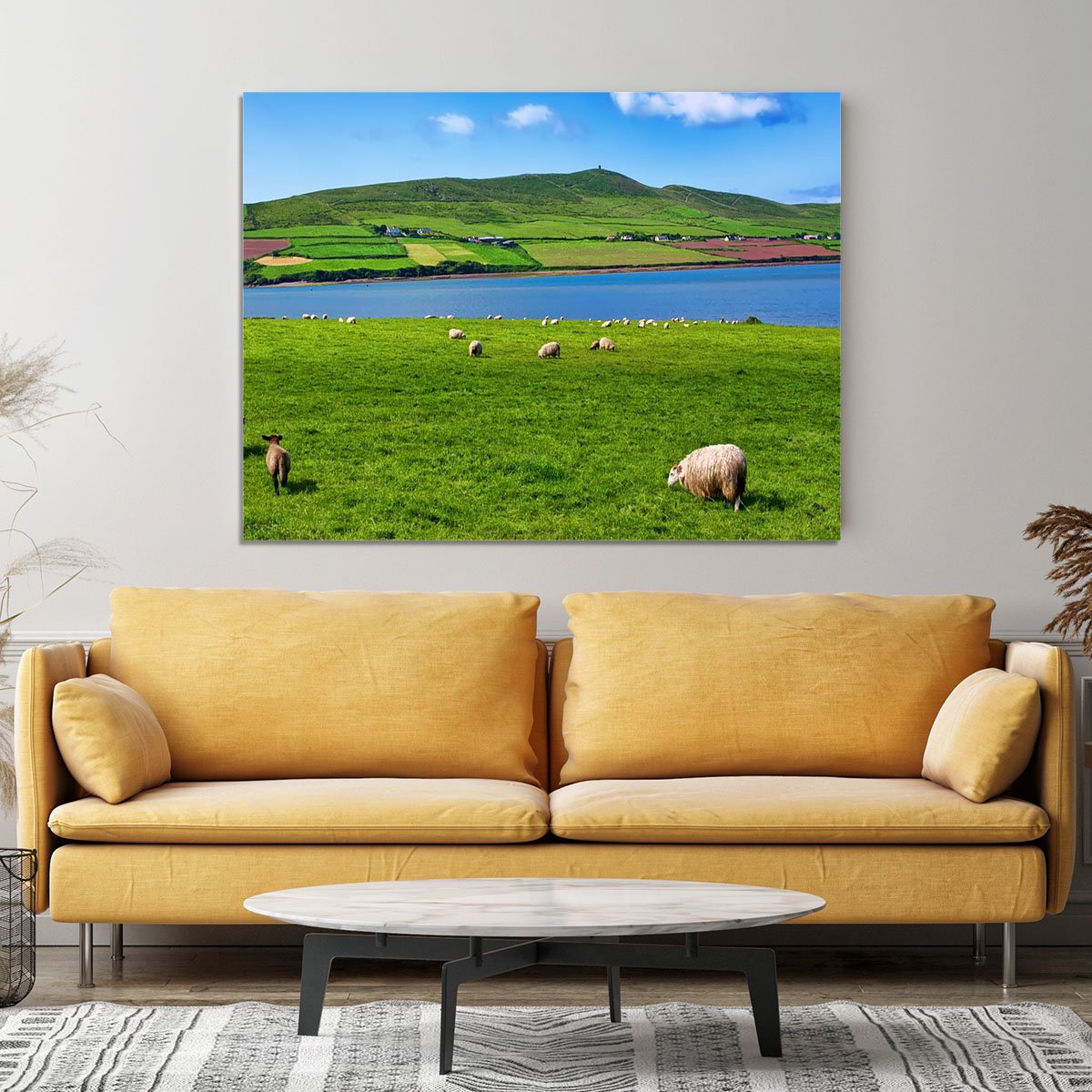Photo sheep in rural landscape for farming Canvas Print or Poster