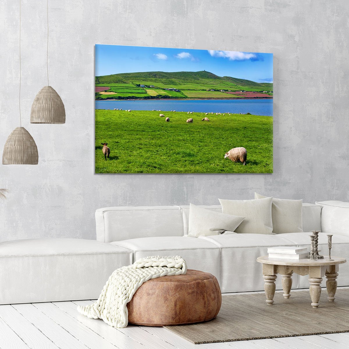 Photo sheep in rural landscape for farming Canvas Print or Poster
