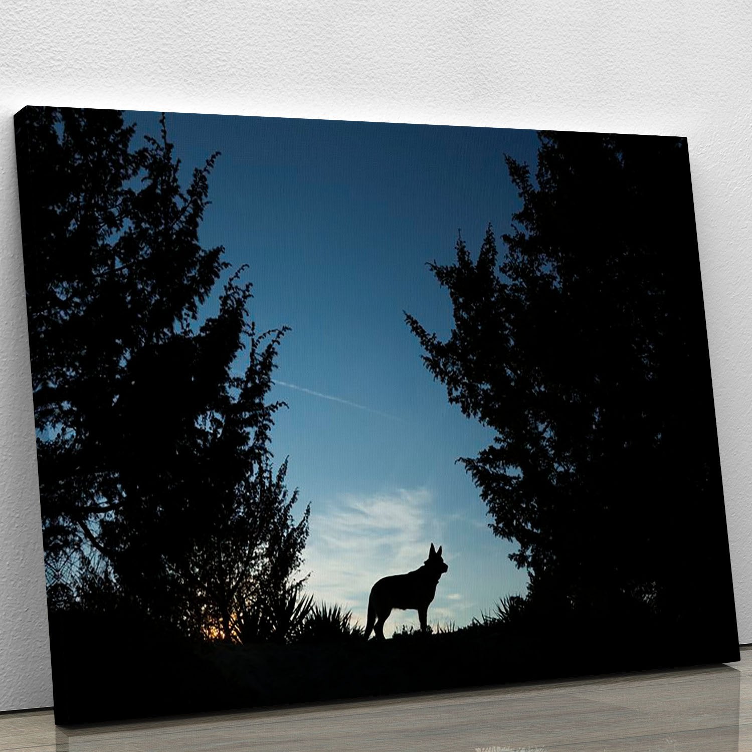 Picture of a wolf dog at dusk. Canvas Print or Poster