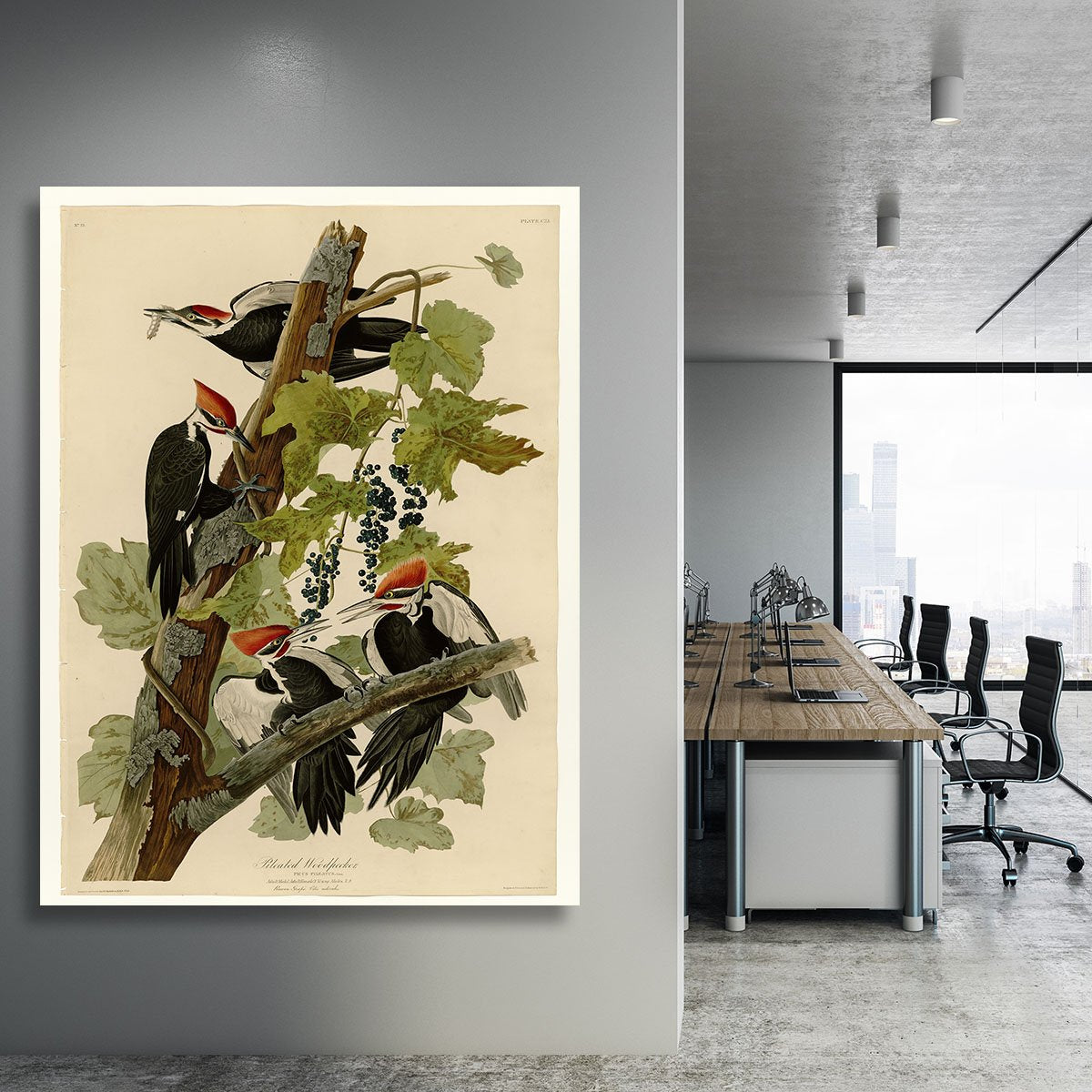 Pileated Woodpecker by Audubon Canvas Print or Poster