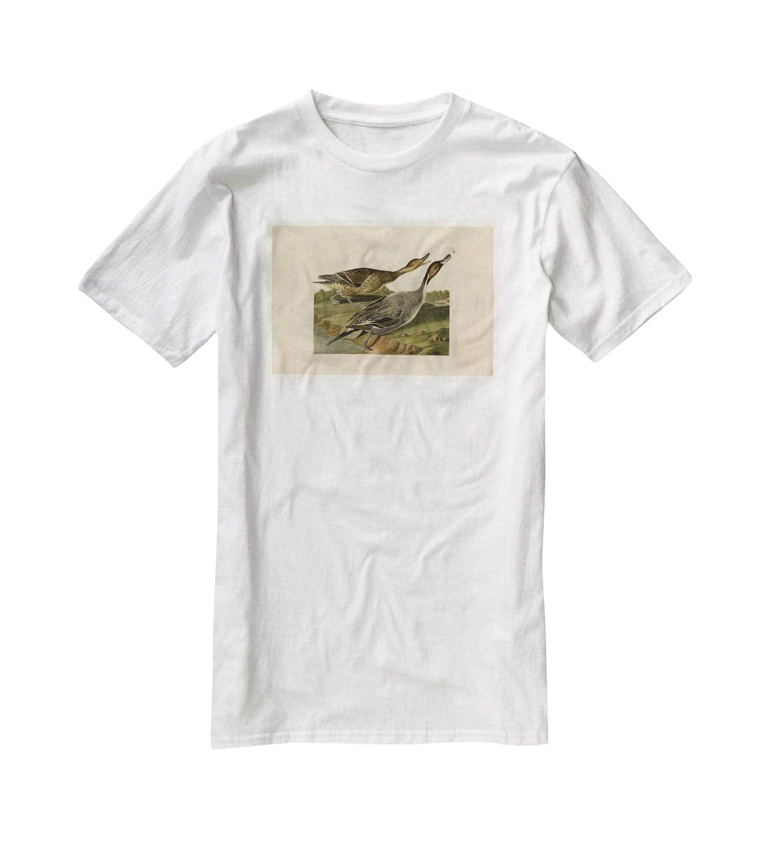Pin tailed Duck by Audubon T-Shirt - Canvas Art Rocks - 5