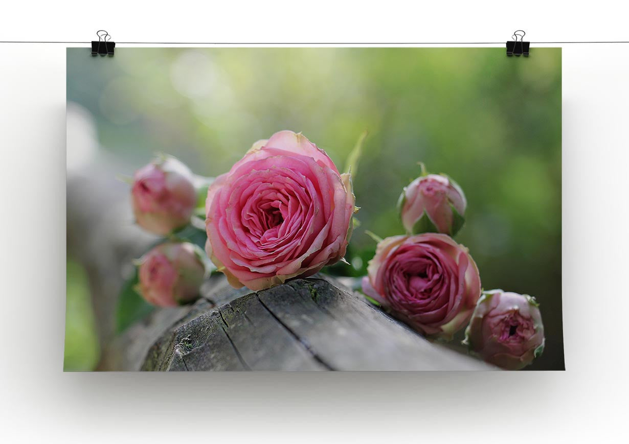 Pink Rose Print - Canvas Art Rocks - 2