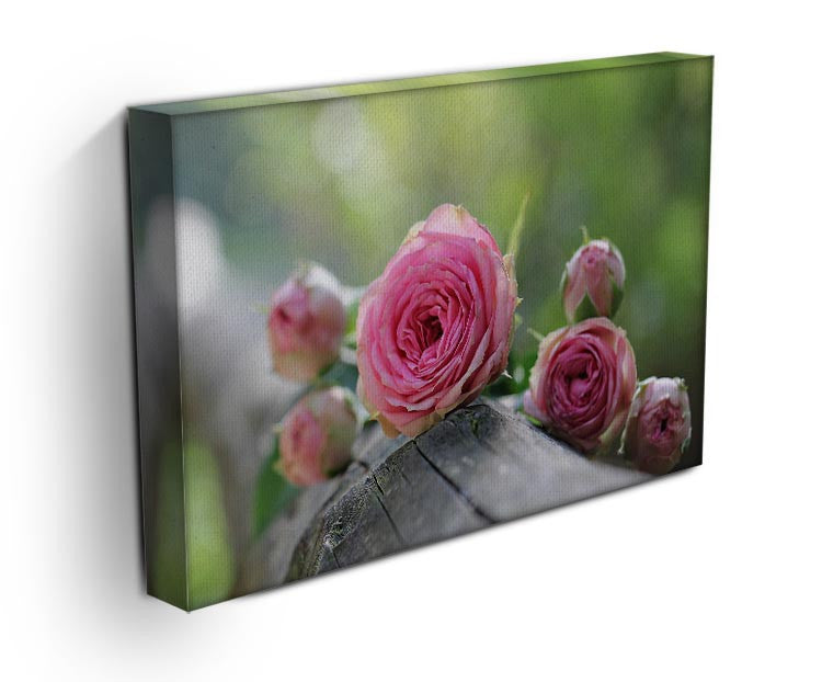 Pink Rose Print - Canvas Art Rocks - 3