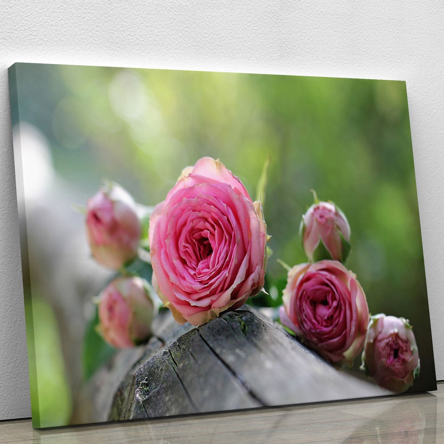 Pink Rose Canvas Print or Poster