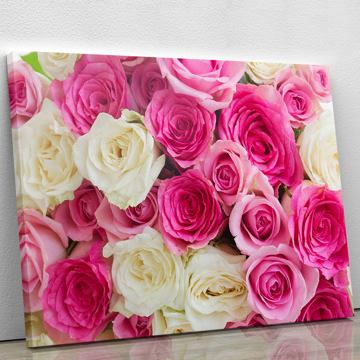 Pink and white fresh rose flowers Canvas Print or Poster