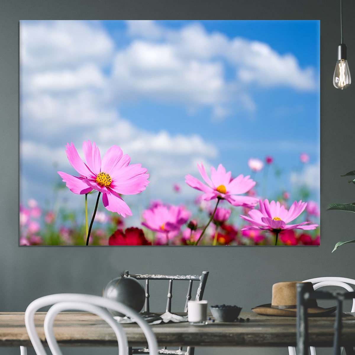 Pink cosmos field and sky Canvas Print or Poster