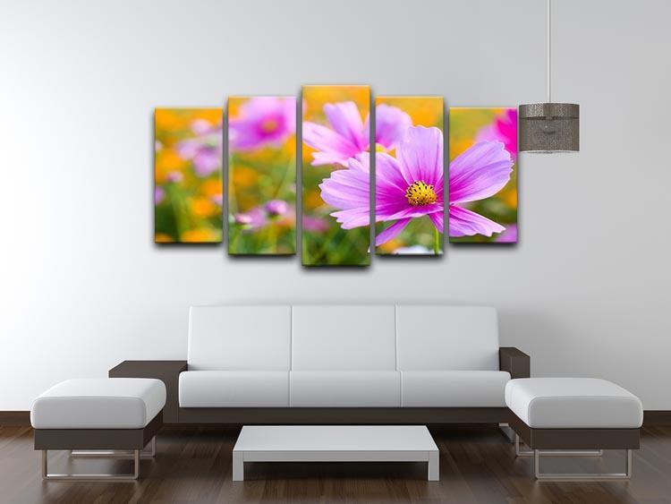 Pink cosmos in the flower fields 5 Split Panel Canvas  - Canvas Art Rocks - 3