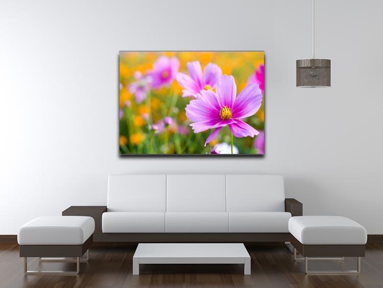 Pink cosmos in the flower fields Canvas Print or Poster - Canvas Art Rocks - 4
