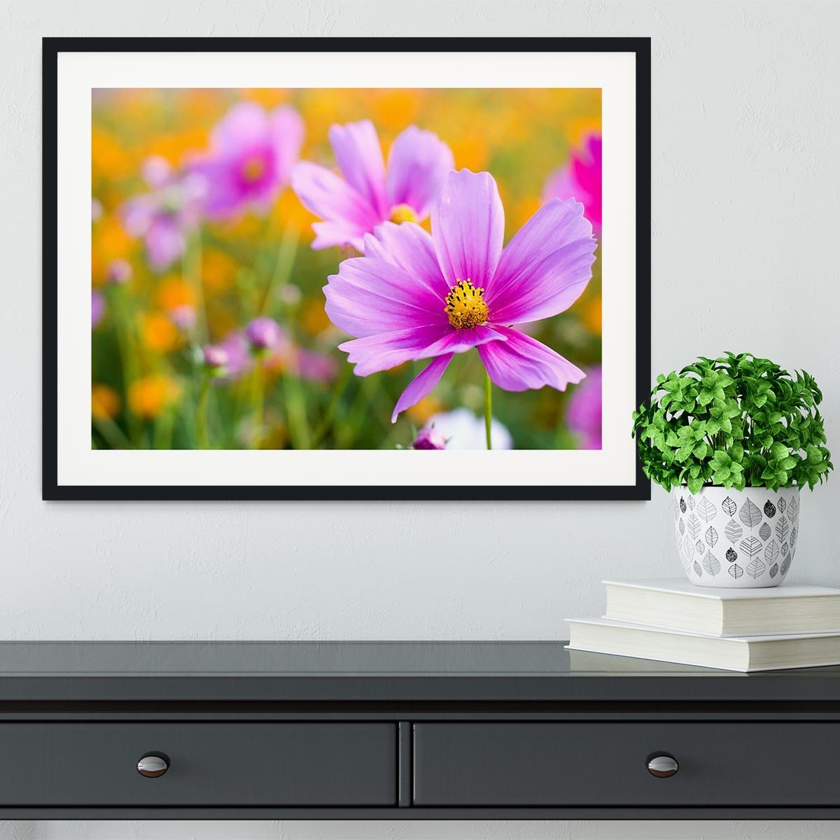 Pink cosmos in the flower fields Framed Print - Canvas Art Rocks - 1