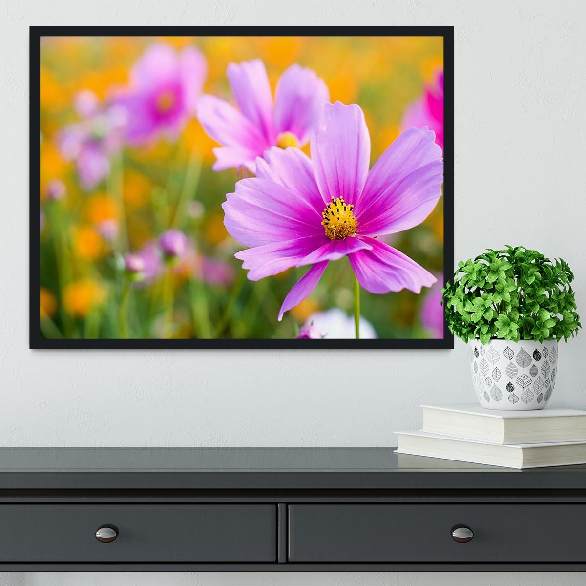 Pink cosmos in the flower fields Framed Print - Canvas Art Rocks - 2