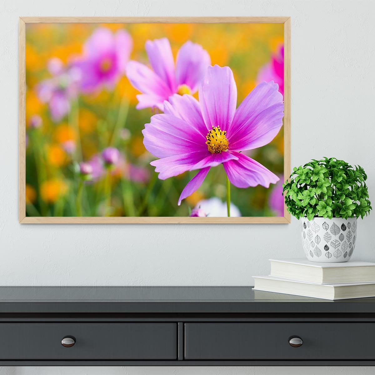 Pink cosmos in the flower fields Framed Print - Canvas Art Rocks - 4