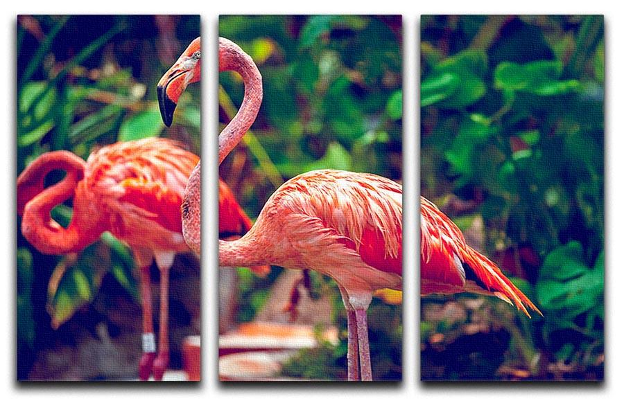 Pink flamingo close-up in Singapore zoo 3 Split Panel Canvas Print - Canvas Art Rocks - 1