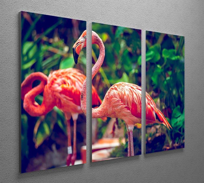 Pink flamingo close-up in Singapore zoo 3 Split Panel Canvas Print - Canvas Art Rocks - 2