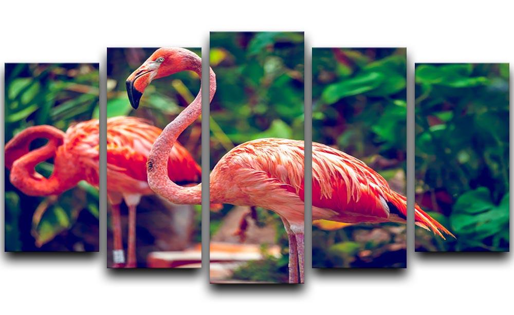 Pink flamingo close-up in Singapore zoo 5 Split Panel Canvas - Canvas Art Rocks - 1