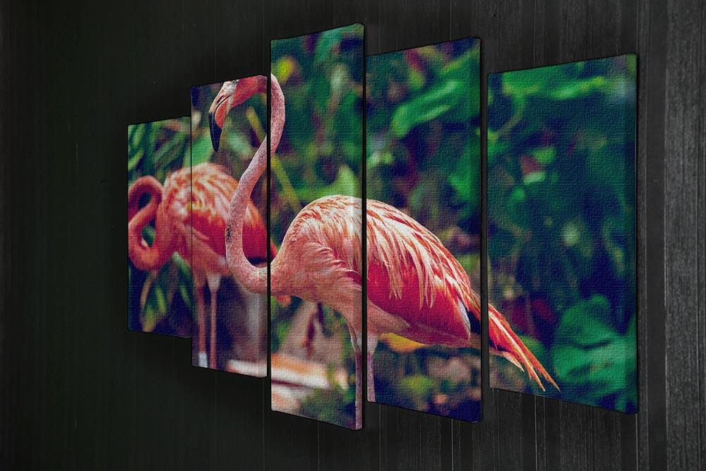 Pink flamingo close-up in Singapore zoo 5 Split Panel Canvas - Canvas Art Rocks - 2